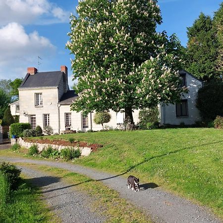 Chambres D'Hotes De L'Ile Du Saule Сомюр Екстериор снимка